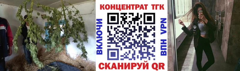 магазин продажи Полесск Дистиллят ТГК THC oil