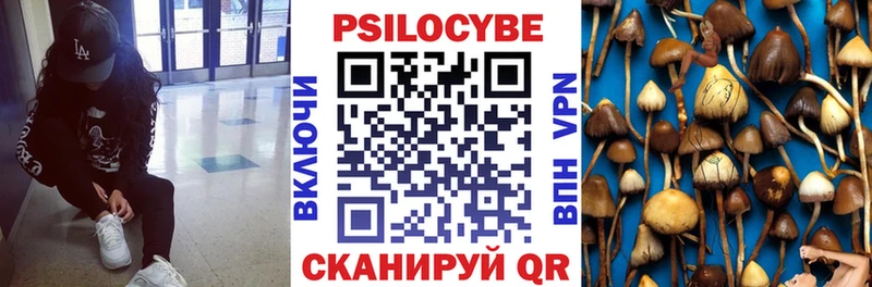 где найти наркотики  мега ссылки  Псилоцибиновые грибы GOLDEN TEACHER  Полесск 